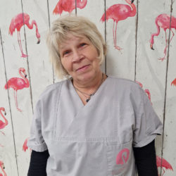 Teamfoto von Iris | Flamingo Pflegeservice