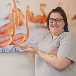 Teamfoto von Jennifer | Flamingo Pflegeservice